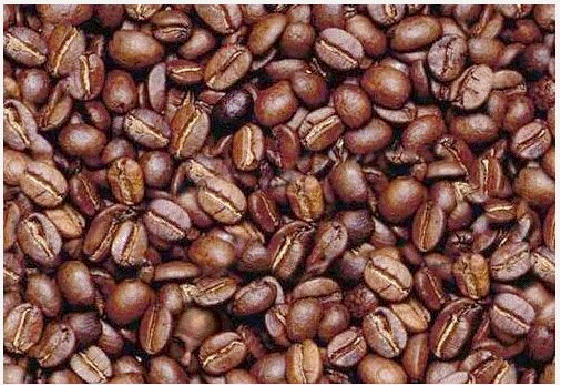  εικόνα (5).gif