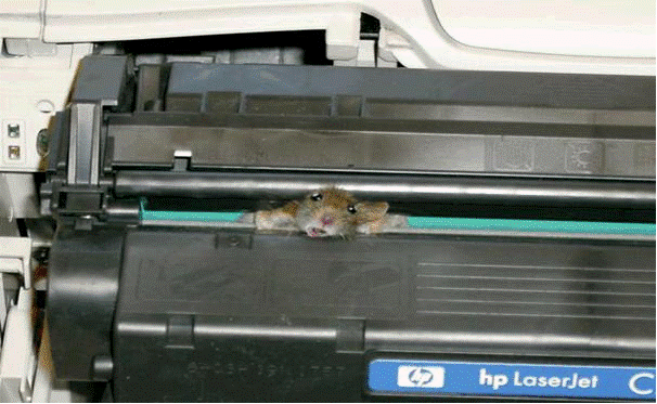  εικόνα (12).gif