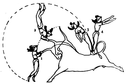 Stiersprung_01[1].gif